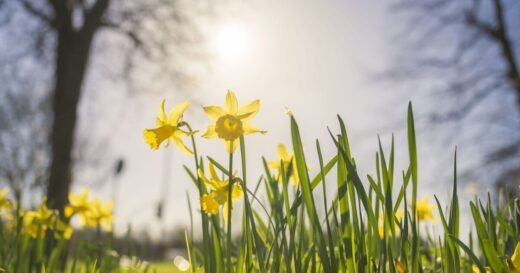 When do clocks go forward in the UK 2026