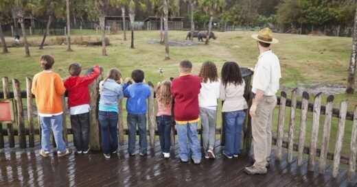 UK zoo introduces 2 new cute creatures that are siblings and ‘extremely friendly’