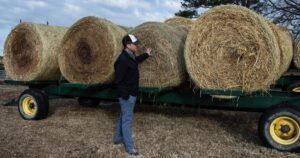 Farmers face mounting financial strain as diesel prices rise amid war