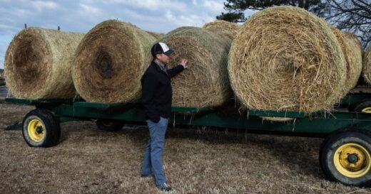 Farmers face mounting financial strain as diesel prices rise amid war