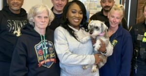 Lost dog found 1,300 miles away, returned to family two years after going missing