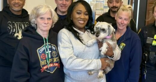 Lost dog found 1,300 miles away, returned to family two years after going missing