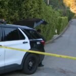 Woman arrested in shooting at Rihanna’s home in Los Angeles