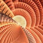 This week on “Sunday Morning” (March 22)