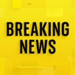 Woman armed with AR-15 rifle fires gunshots into Rihanna’s California home | US News