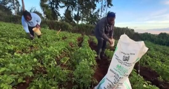 War with Iran threatens global food supply chain