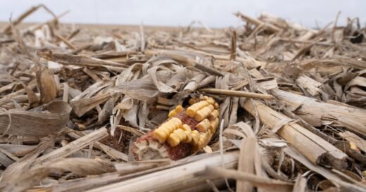 Is America on the cusp of a farm crisis?