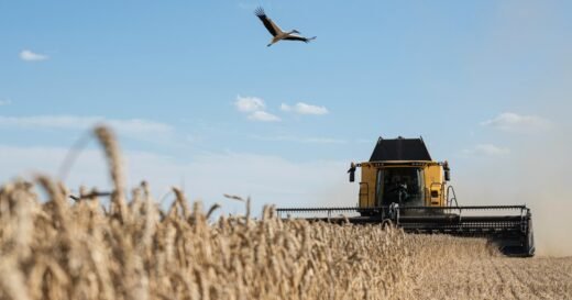 ‘Stolen’ grain shipments spark furious clash between Ukraine and Israel