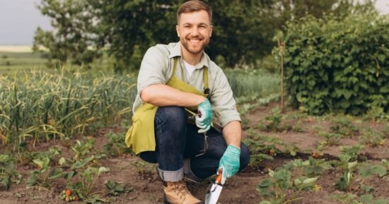 ‘Gardens look beautiful’ with ‘cheap’ supermarket item