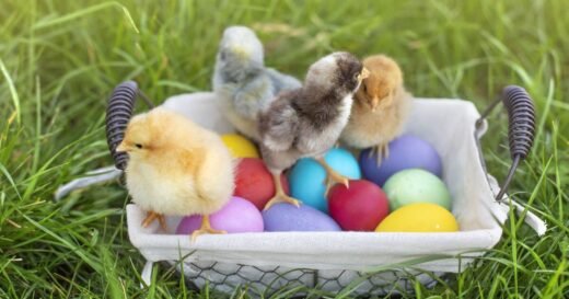 Easter will bring misfortune or bad luck if you do these 3 things