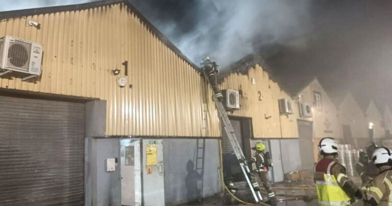 From petty criminality to sabotage – frightening reality of terror | UK | News