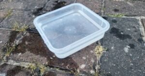 UK households urged to leave bowl of water outside house on Thursday | UK | News