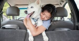 10 healthiest dog breeds that could save you money on vet bills