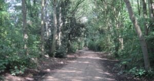 Peaceful London nature reserve walk is perfect for families and dogs