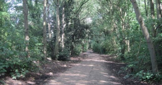 Peaceful London nature reserve walk is perfect for families and dogs