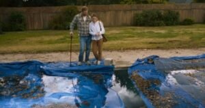 Horror film ‘on par with Sinister’ will be leaving Netflix | Films | Entertainment