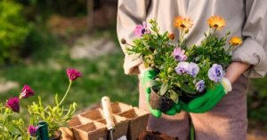 3 flowers you ‘need’ to plant in your garden now for instant colour