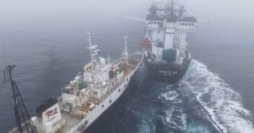 Activist ship’s collision with krill trawler off Antarctica called “deliberate attack”