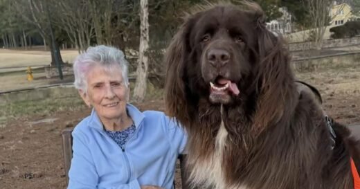 A bond between a grandmother and the dog next door