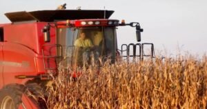 Farm bankruptcies increase over last five years, Politico analysis finds