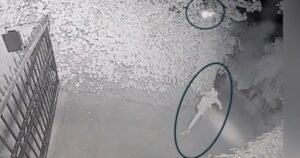 Suspect in Sam Altman-Molotov cocktail attack appears in court