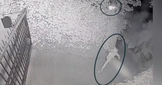 Suspect in Sam Altman-Molotov cocktail attack appears in court