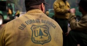 Trump administration to move U.S. Forest Service HQ and shutter research facilities in 31 states
