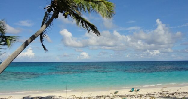 Missing American who reportedly fell off boat in the Bahamas identified as Michigan woman