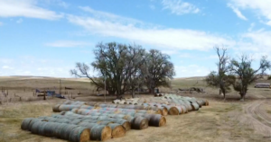 After a wildfire torched their Nebraska ranch, anonymous donors came to their rescue: “They don’t want the glory”