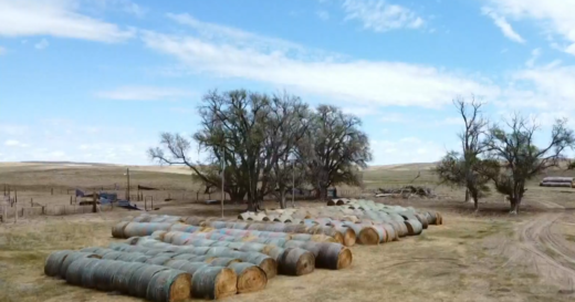 After a wildfire torched their Nebraska ranch, anonymous donors came to their rescue: “They don’t want the glory”