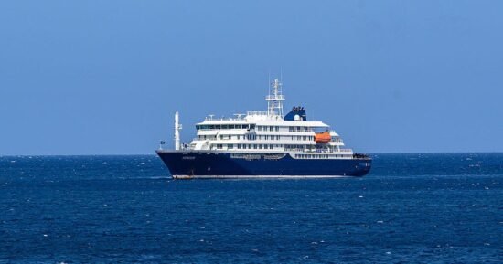 Version of hantavirus behind deadly cruise ship outbreak matches known strain, France says