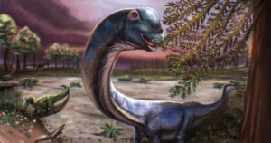 Skeletal remains of new dinosaur weighing as much as 9 elephants discovered by scientists: “The last titan”