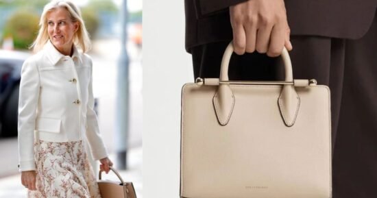 Copy Duchess Sophie’s £1.9k handbag for less | Royal | News