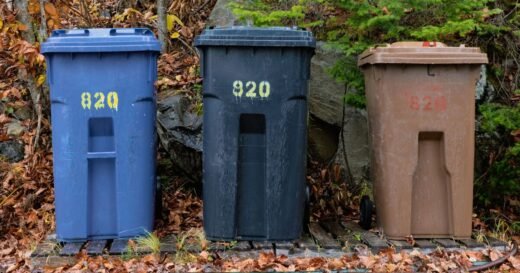 Households told bins won’t be collected if common item is in recycling | UK | News