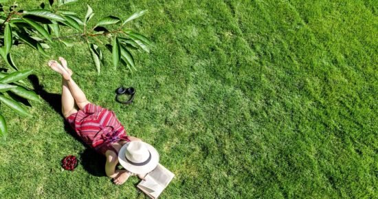 The top five new books to read this spring | Books | Entertainment