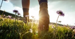All Brits must watch out for ‘UK’s most dangerous insect’ during walks