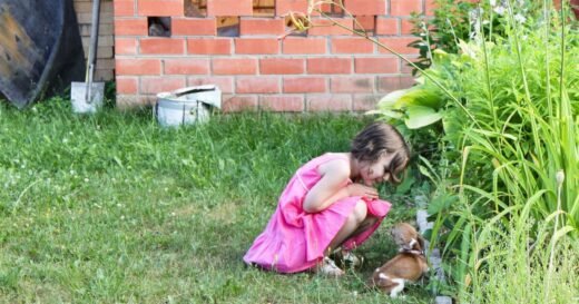 12 dog breeds you should avoid if you have young children