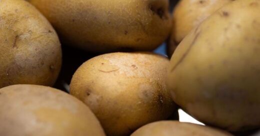 Potatoes stay fresh ‘for weeks’ when you place them in 1 area of home