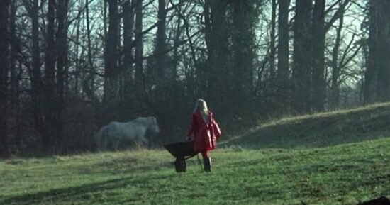 ‘Best horror film ever made’ is a 1973 ‘masterpiece’ | Films | Entertainment