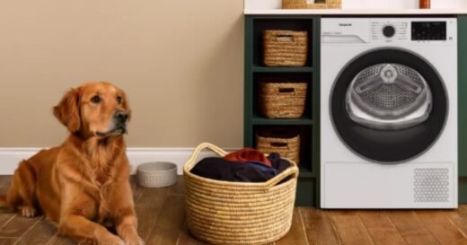Hotpoint offers up to £300 cashback on dishwashers and tumble dryers
