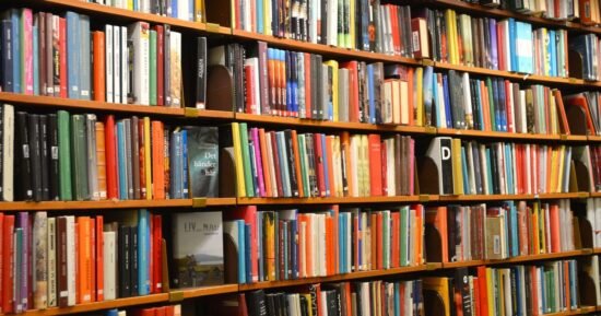 Top 10 ‘greatest novels of all time’ unveiled – one is a ‘masterpiece’ | Books | Entertainment