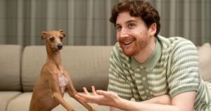 Top 25 questions pet owners wish they could ask their furry companions revealed