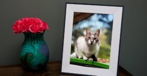 Aura’s Aspen digital frame is $30 off for Mother’s Day