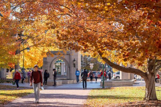 IU Biologist’s Lab Reopened but Research Is Set Back