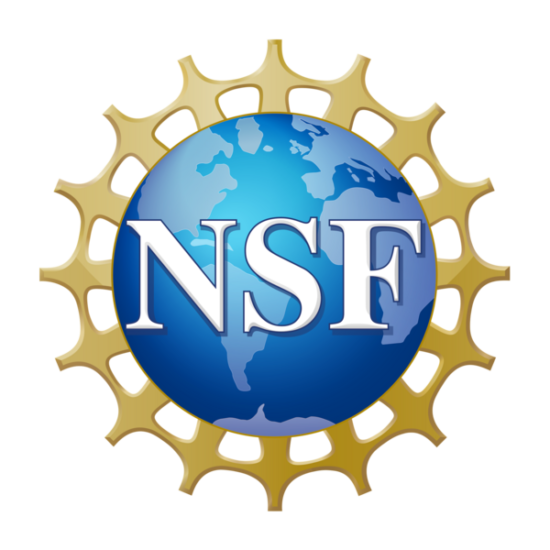 After Board Axed, Prior NSF Heads Call for Members, Director