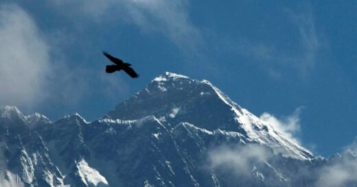 American climber Tyler Andrews summits Mount Everest in record time, his team says