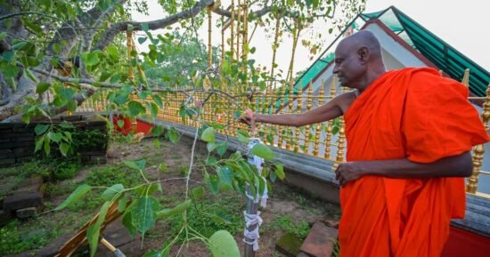 Prominent Buddhist monk arrested over alleged sexual abuse in Sri Lanka