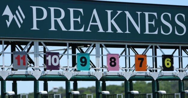 Napoleon Solo wins Preakness Stakes at Laurel Park