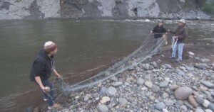 Protecting salmon preserves a way of life for a Pacific Northwest tribe