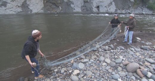 Protecting salmon preserves a way of life for a Pacific Northwest tribe